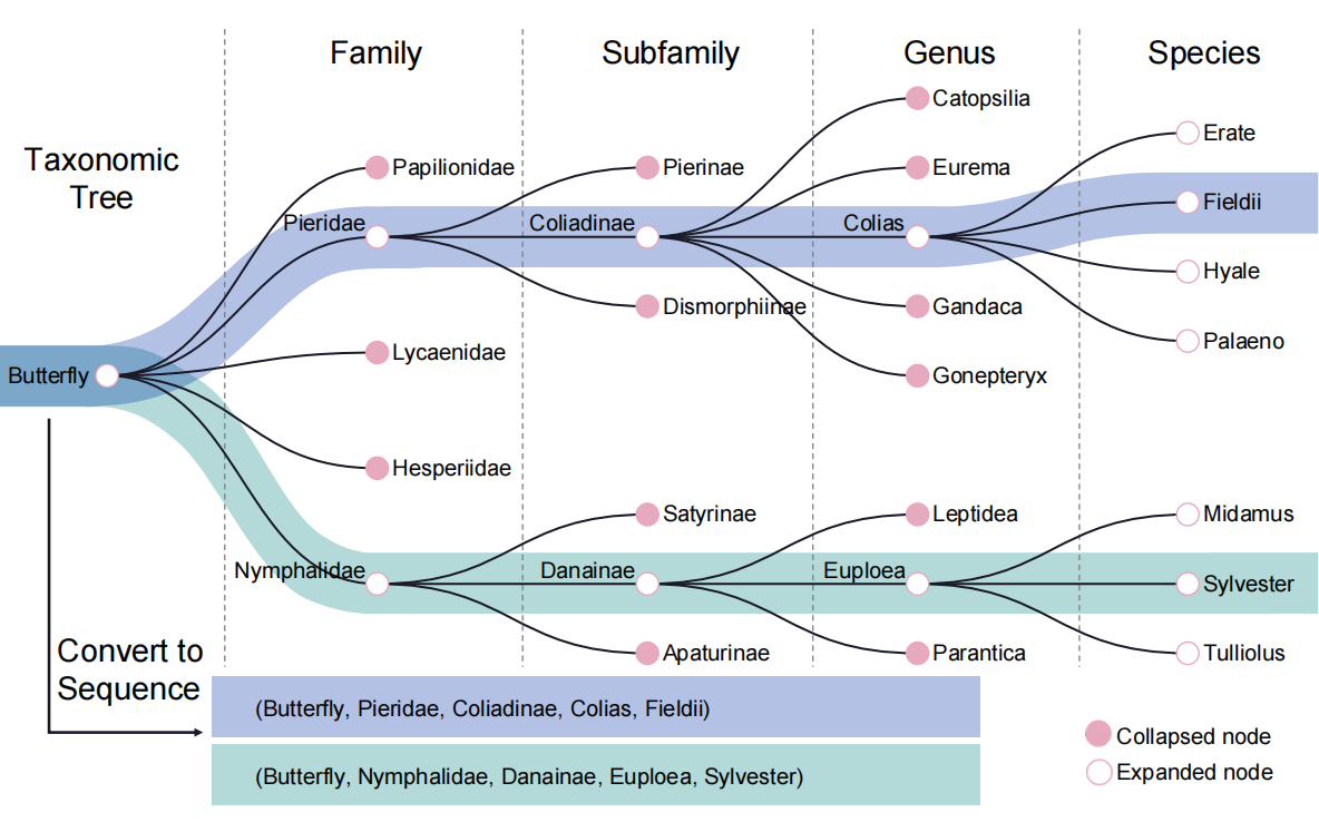 Publications | Lili Wang